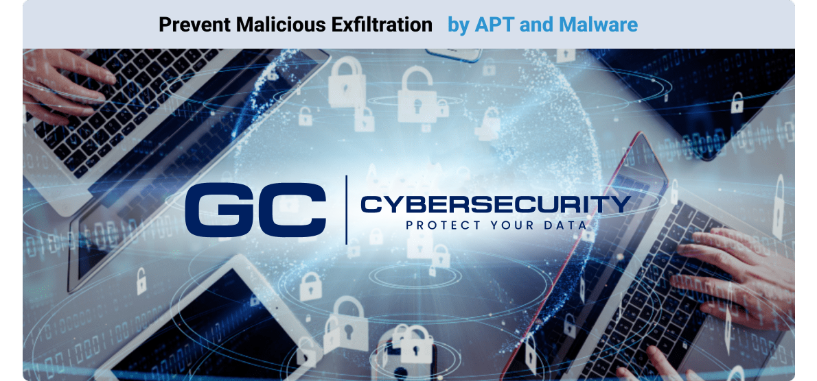 Malicious and Inadvertent DLEP
